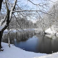 Зимние зарисовки марта в парке Южный :: Маргарита Батырева