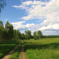 У деревни Жёлтиково. :: Владимир Драгунский