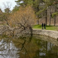 Весна в парке Торонто (High Park) :: Юрий Поляков