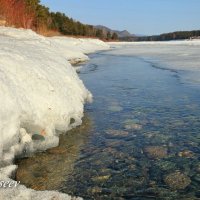 ************ :: Николай Елисеев