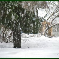 Снег :: Наталья 