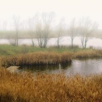 Осеннее утро... :: Мария Богуславская