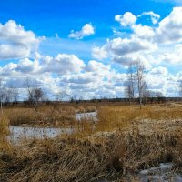 Природа Смоленщины :: Милешкин Владимир Алексеевич 