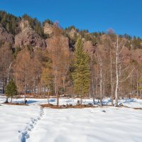 Тропинка весенняя :: Анатолий Иргл