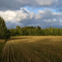 Перед дождём :: Вера Андреева