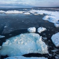 Льды Охотского моря :: Артём Удодов 