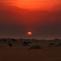 Закат в пустыне :: Владимир Горубин