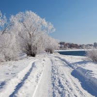 По берегу Ангары :: Анатолий Иргл