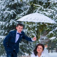 Свадьба зима :: Дмитрий 