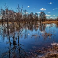 Разлив :: Андрей Дворников