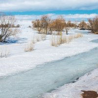 Мартовский пейзаж :: Любовь Потеряхина