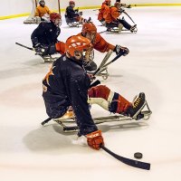Слэдж-Хоккей тренировка. :: Вячеслав Ложкин