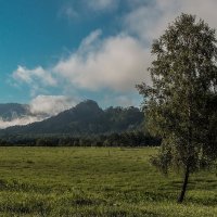 Ясное утро :: Виктор Четошников