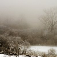 Утренний туман :: Вера Сафонова