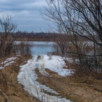 Апрель за городом :: Марина Ломина