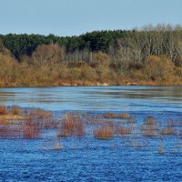 Река в начале апреля.. :: Юрий Анипов 