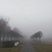 Утро в тумане . :: Мила Бовкун