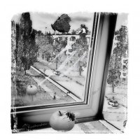Что видит муха, сидя на яблоке :: Григорий Кучушев