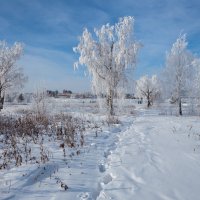 Зимний пейзаж :: Анатолий Иргл