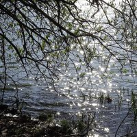 Игра лучей апрельского солнышка на глади озера :: Маргарита Батырева