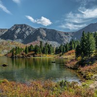 Край любимый, край заветный мой... :: Андрей Поляков