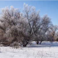 Зимний пейзаж :: Александр Максимов