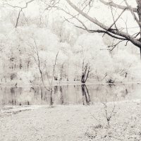 Сон о майском снеге :: Tanja Gerster