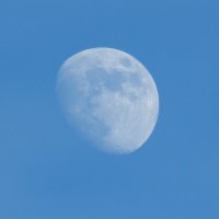 Луна :: Юлия Богданова