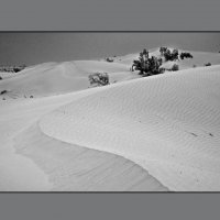 Пустыня :: Ахмед Овезмухаммедов