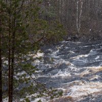 Водопад Кивач. :: Лилия Гудкова