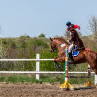 2017-04-30 Открытое первенство по конкуру "Покровские зори" :: Андрей Lyz