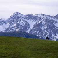 В долине реки Сайрамсу :: Александр Грищенко