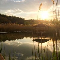 Весенний закат на озере :: Валентина К