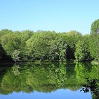 В зеркале воды :: Маргарита Батырева