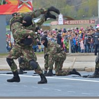 ДЕНЬ ПОБЕДЫ. 9 МАЯ 2017. ПАРАД. :: Юрий Ефимов