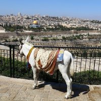 Иерусалим :: vasya-starik Старик