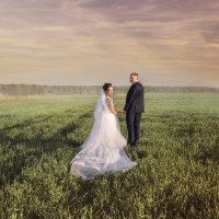 Wedding :: Наталья Сидорович