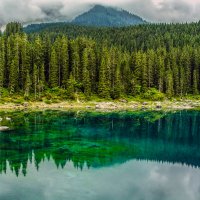 ** :: Александр Липовецкий