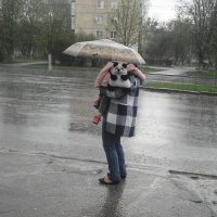 весенний дождь :: Евгений Гузов
