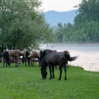 Вечерело... :: Юлия Бабитко