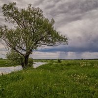 Озеро 3 :: Андрей Дворников
