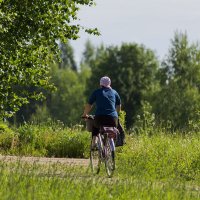 В лес :: Александр 