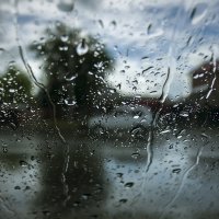 Дождь. :: Виталий Павлов