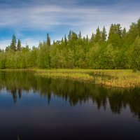 Природа ЯНАО :: Денис Сидельников