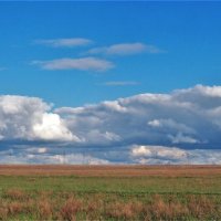 Облака в ясный день :: Николай Сапегин