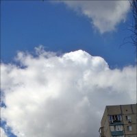 Ватное облако :: Нина Корешкова