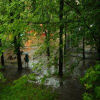 Дождливый день :: Олег Пучков