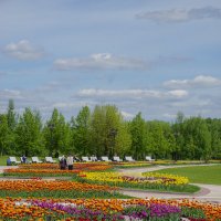 Весна в Царицыно :: Ольга 