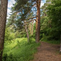 Звенигород. :: Владимир Безбородов