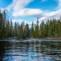 Лесное озеро. :: Владимир Лазарев